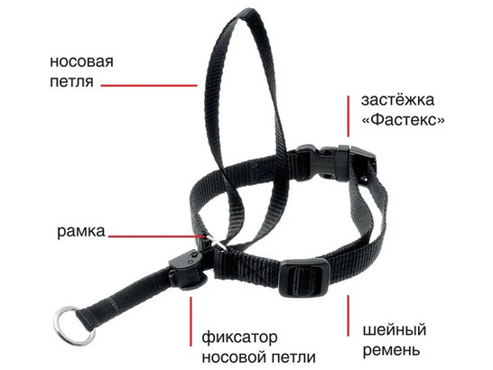 Недоуздок V.I.Pet д/с № 1 29-38см