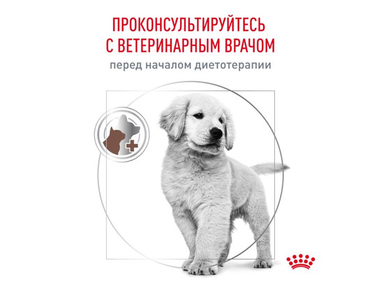 Royal Canin для щенков Gastrointestinal Puppy, 2.5кг 