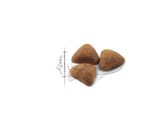 Royal Canin для кошек Indoor, 0.4кг + 0.16кг
