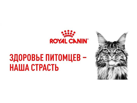 Royal Canin для кошек Sterilised, 0.4кг + 0.16кг