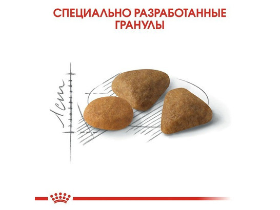 Royal Canin для кошек Savour Exigent, 0.4кг + 0.16кг
