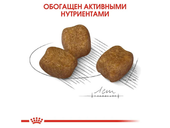 Royal Canin для собак Mini Dental, 1.0кг