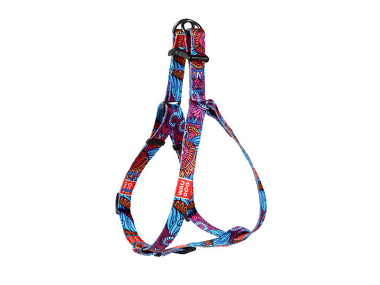 Шлейка 15мм 40-55см Лето Waudog Nylon с рисунком, Коллар