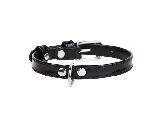 Ошейник 12мм 21-29см без украшений для щенков и мелких пород собак CoLLaR brilliance, Коллар