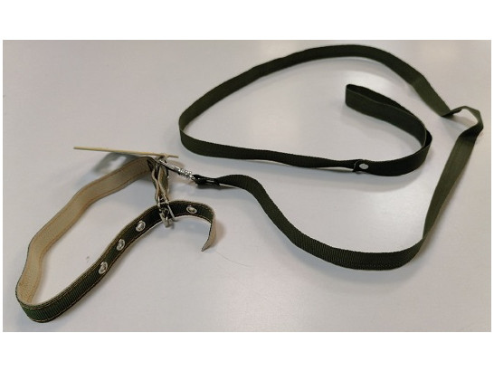 Ошейник 14мм 120см с поводком капрон CoLLaR, Коллар