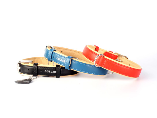 Ошейник 25мм 38-50см CoLLaR brilliance, Коллар