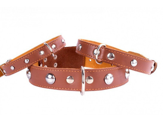 Ошейник 14мм 27-35см двойной с украшением CoLLaR, Коллар