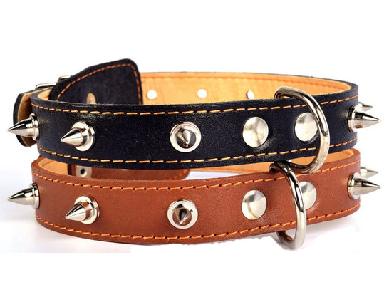 Ошейник 25мм 38-50см двойной с шипами CoLLaR, Коллар
