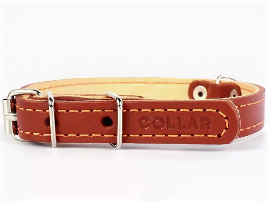 Ошейник 35мм 48-63см двойной CoLLaR, Коллар