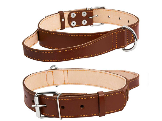 Ошейник 45мм 56-68см двойной с ручкой CoLLaR, Коллар