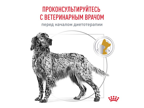 Royal Canin для собак Urinary S/O, 13.0кг