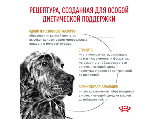 Royal Canin для собак Urinary S/O, 13.0кг