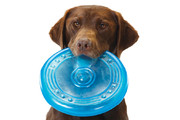 Игрушка Петстейдж для собак Летающая тарелка 22см, Petstages OPKA