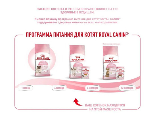 Royal Canin для котят Kitten, 0.3кг 