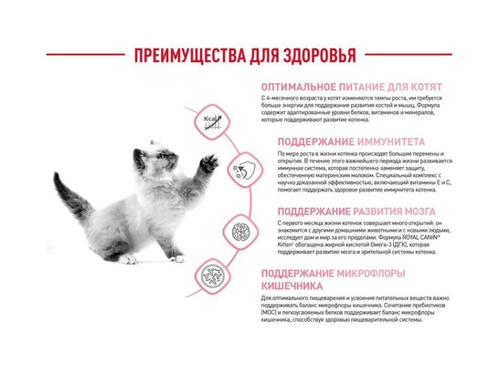 Royal Canin для котят Kitten, 0.3кг 