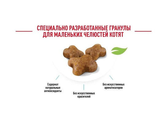 Royal Canin для котят Kitten, 0.3кг 
