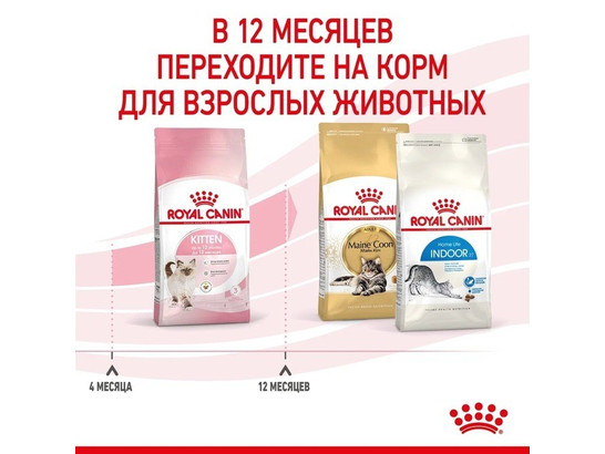 Royal Canin для котят Kitten, 0.3кг 