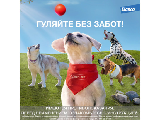 Капли Адвантикс-400 д/с больше 25кг, 4 пип.упаковка, Байер