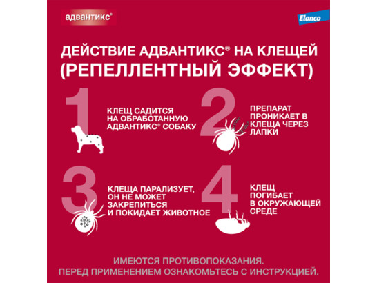 Капли Адвантикс-400 д/с больше 25кг, 4 пип.упаковка, Байер