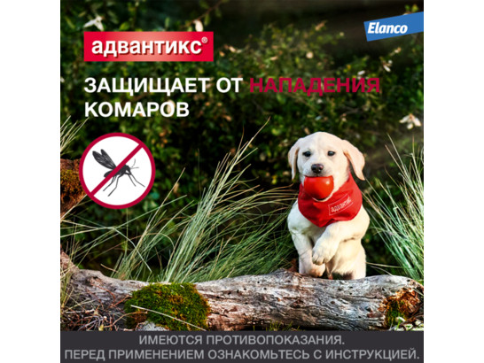 Капли Адвантикс-400 д/с больше 25кг, 4 пип.упаковка, Байер
