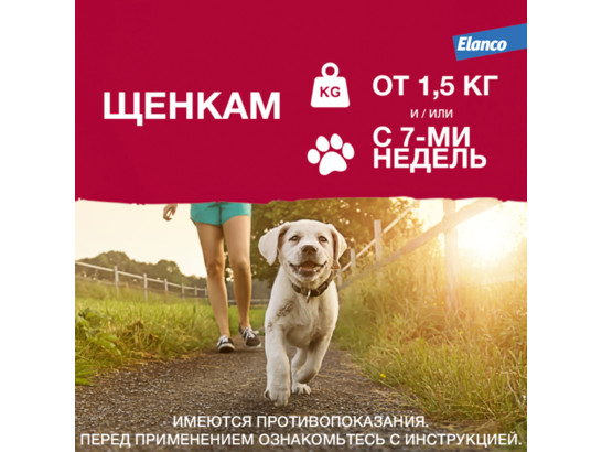 Капли Адвантикс-400 д/с больше 25кг, 4 пип.упаковка, Байер
