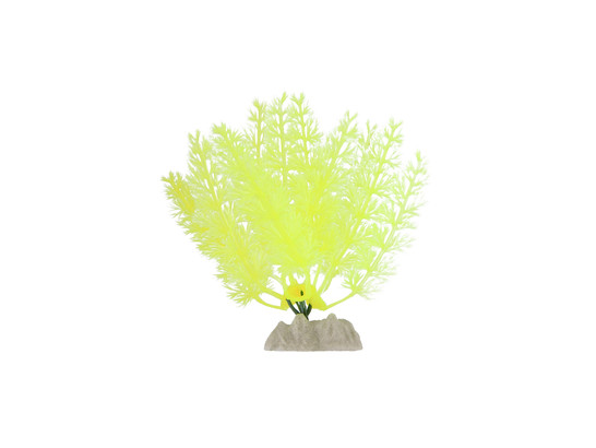 Растение GLOFISH 13см флуоресцентное