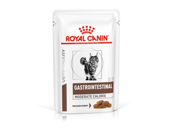 Royal Canin для кошек Gastrointestinal соус, 0.085кг, пауч