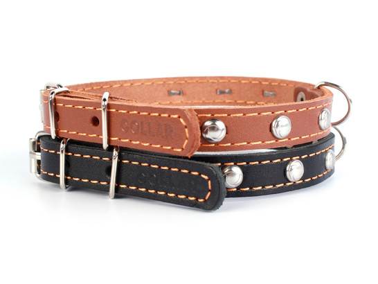 Ошейник 20мм 32-40см одинарный с украшением CoLLaR, Коллар