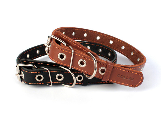 Ошейник 35мм 69см безразмерный CoLLaR, Коллар