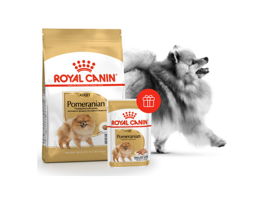 Royal Canin для собак Pomeranian (Померан. Шпиц) Adult, 0.5кг + 1пауч*0.085кг