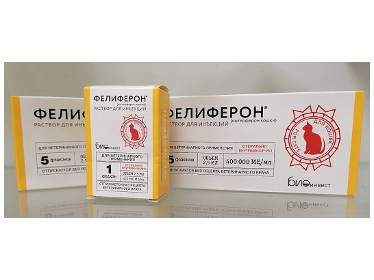 Фелиферон р-р для инъекций 2,5 мл 400тыс.МЕ /5 флак.упак/Астрафарм/ АКЦИЯ 2+1 (Подарок Фелиферон р-р для инъекций 2,5 мл 400тыс.МЕ /1 флак.упак/Астрафарм/)