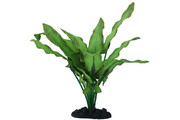 Растение Prime Анубиас Хастифолия 20см, шелковое