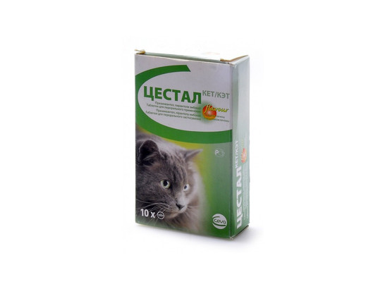 Цестал Кэт жеват 8 таб