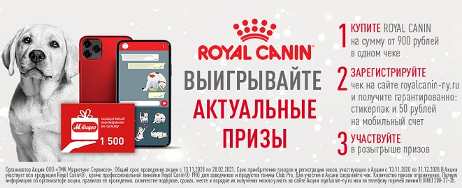 Royal Canin Promo