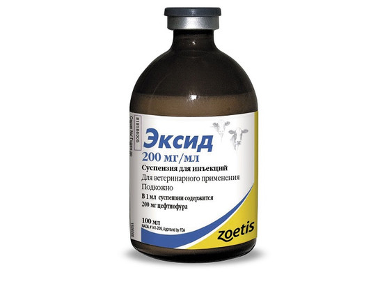 Эксид 100 мл /Зоэтис/