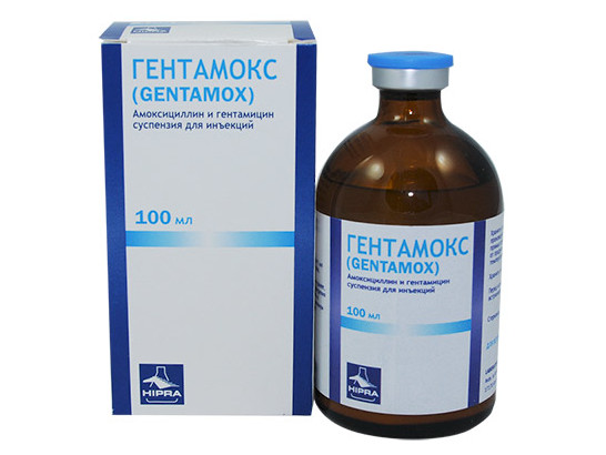 Гентамокс 100 мл /Хипра/