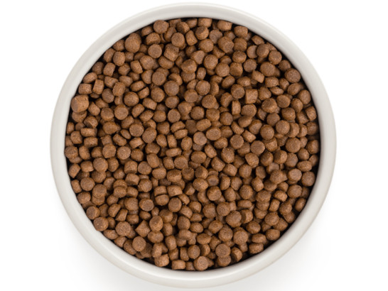 GRANDORF CAT INDOOR 4 Meat PROBIOTIC (4 мяса с пробиот. для домашних кошек) 2.0кг