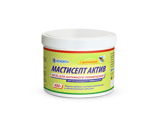 Мастисепт актив мазь 450г 