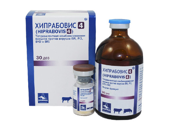 Вакцина Хипрабовис-4 30 доз/фл /Хипра