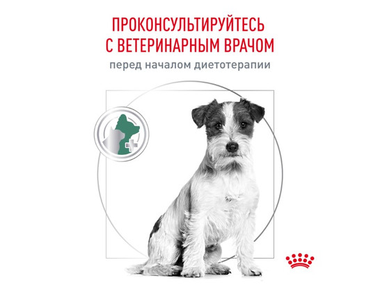 Royal Canin для собак Satiety Weight Management Small Dogs, 0.5кг