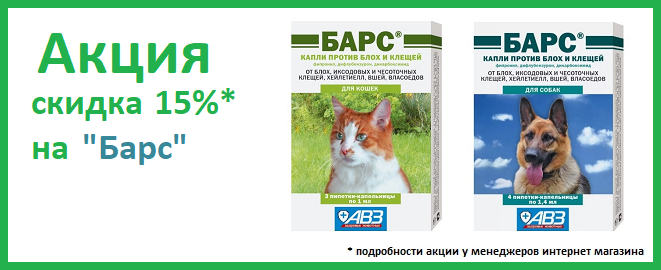 Барс 15_ Барс 15_