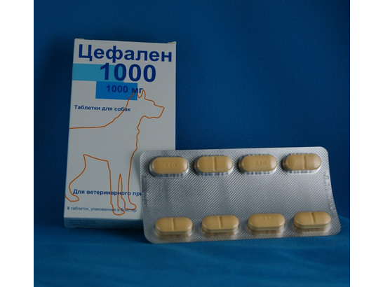 Цефален 1000 8табл./кор.