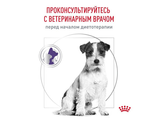 Royal Canin для собак Neutered Adult Small Dogs, 0.8кг