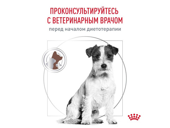 Royal Canin для собак Gastrointestinal Low Fat Small Dogs, 1.0кг