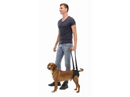 Шлейка Трикси Поддерживающая L-XL: 75-85см/35-50кг