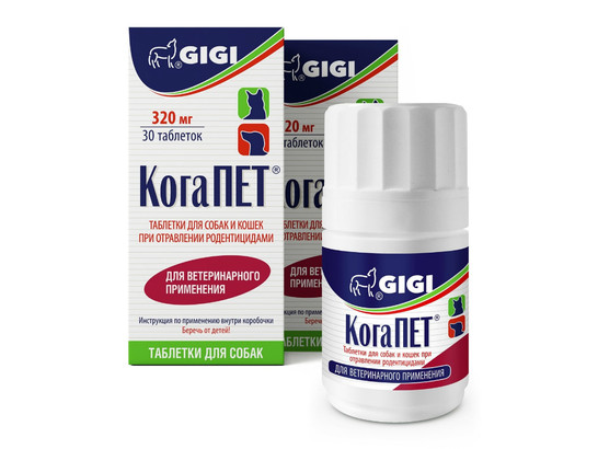 КогаПЕТ №100, GIGI