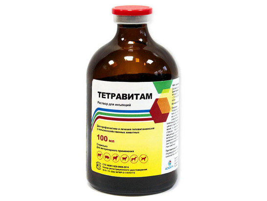 Тетравитам 100 мл /Асконт+/ 
