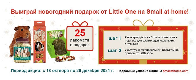 661x270 Баннер новогоднее промо 2021 Little One