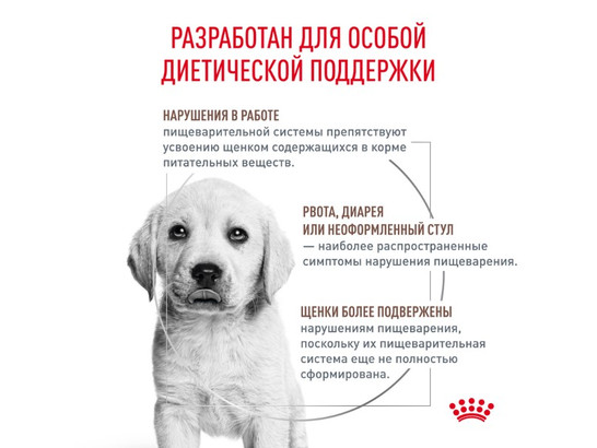 Royal Canin для щенков Gastrointestinal Puppy, 1.0кг