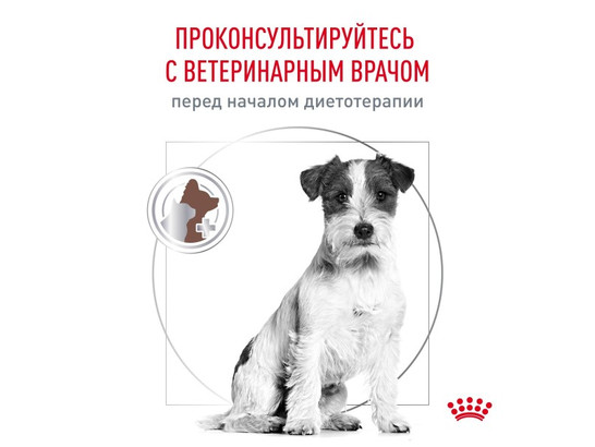 Royal Canin для собак Gastrointestinal Low Fat Small Dogs, 3.0кг